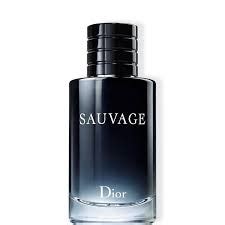 sauvage translation|sauvage meaning in english.